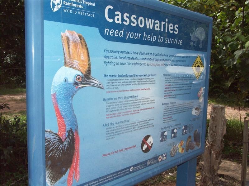 South Mission QLD 4852