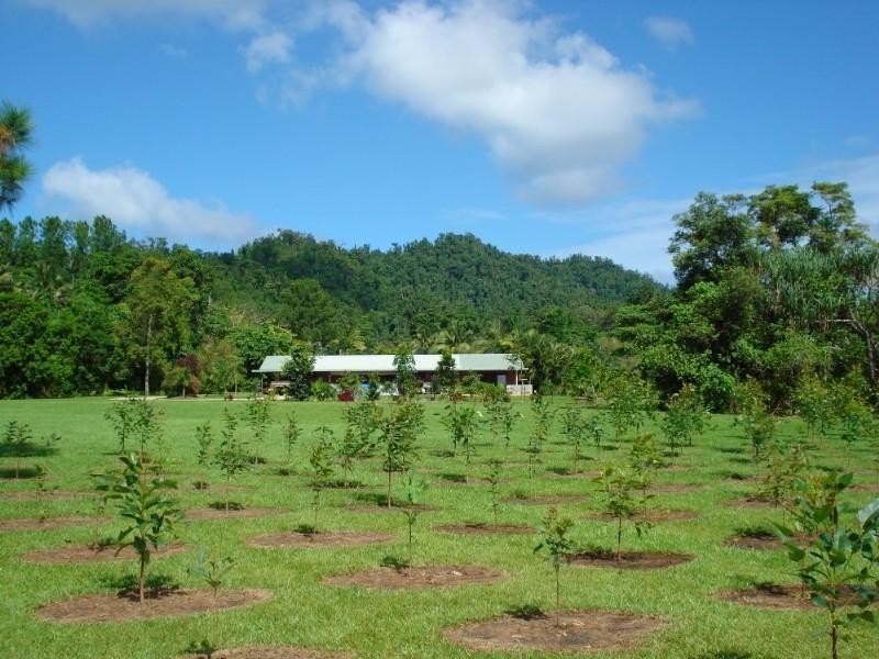 Mission Beach QLD 4852