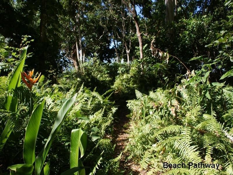 Wongaling Beach QLD 4852
