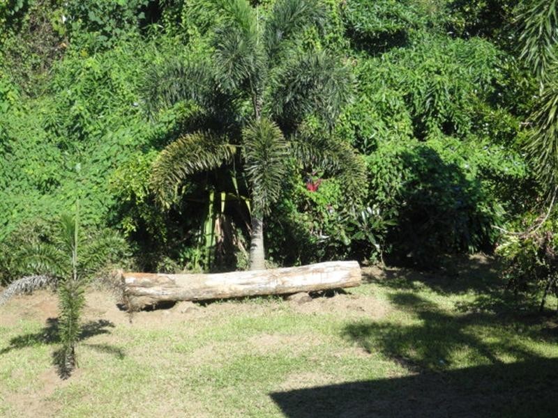 Mission Beach QLD 4852