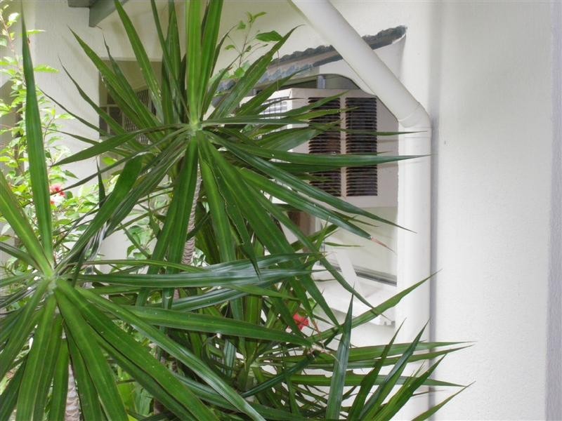 Mission Beach QLD 4852