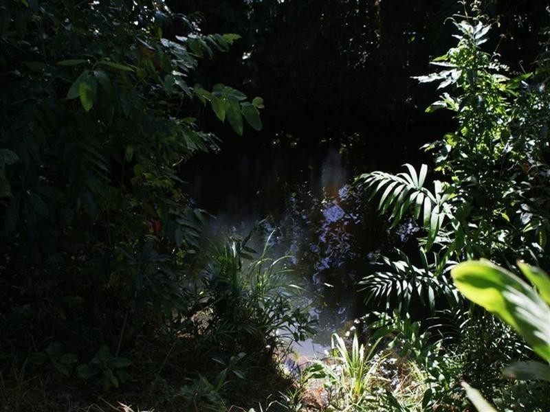 Mission Beach QLD 4852