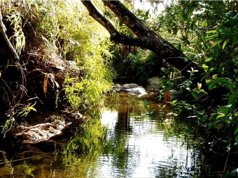Merryburn QLD 4854