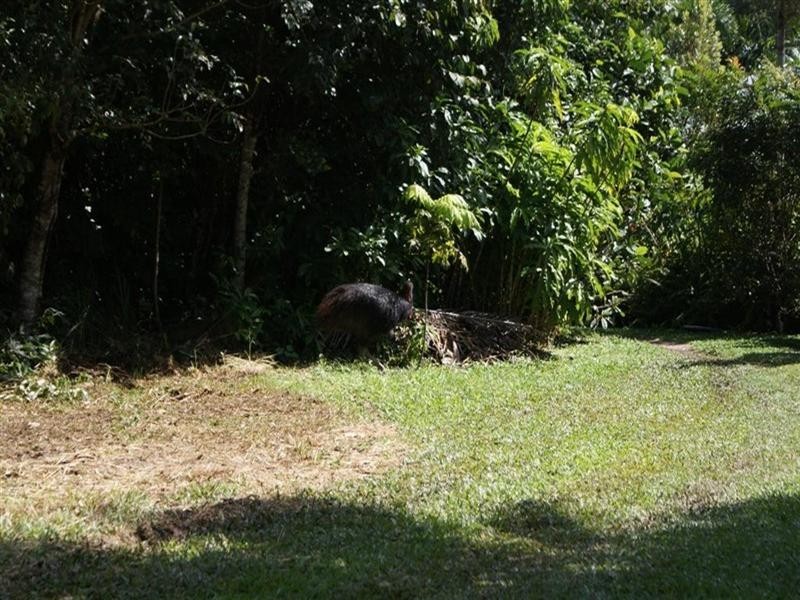 Garners Beach QLD 4852