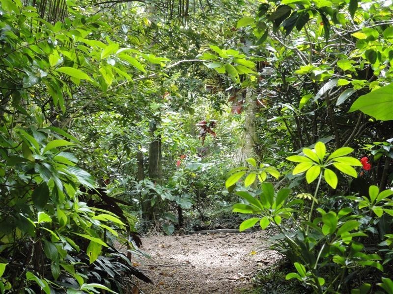 Wongaling Beach QLD 4852