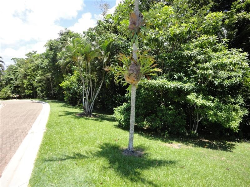 South Mission QLD 4852