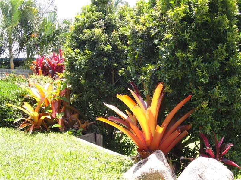 South Mission QLD 4852