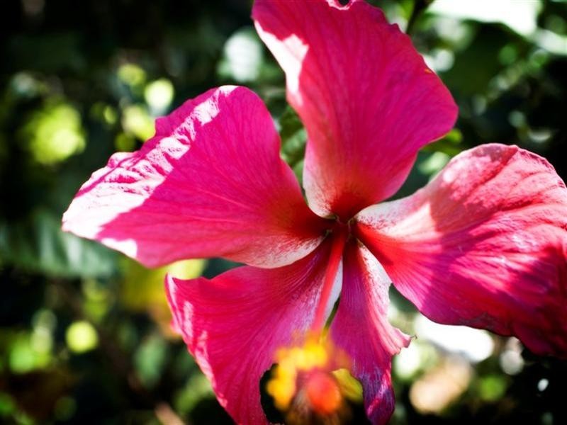 Wongaling Beach QLD 4852