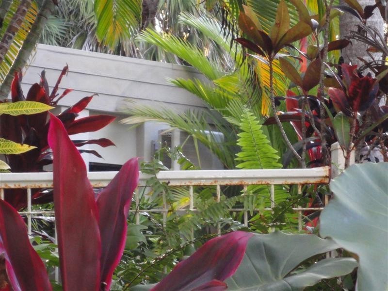 Wongaling Beach QLD 4852