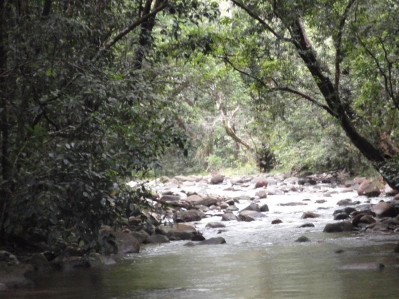 Mission Beach QLD 4852