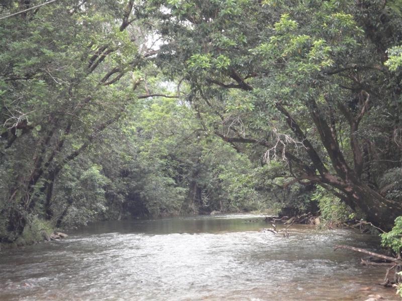 Mission Beach QLD 4852