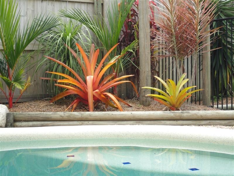 South Mission QLD 4852