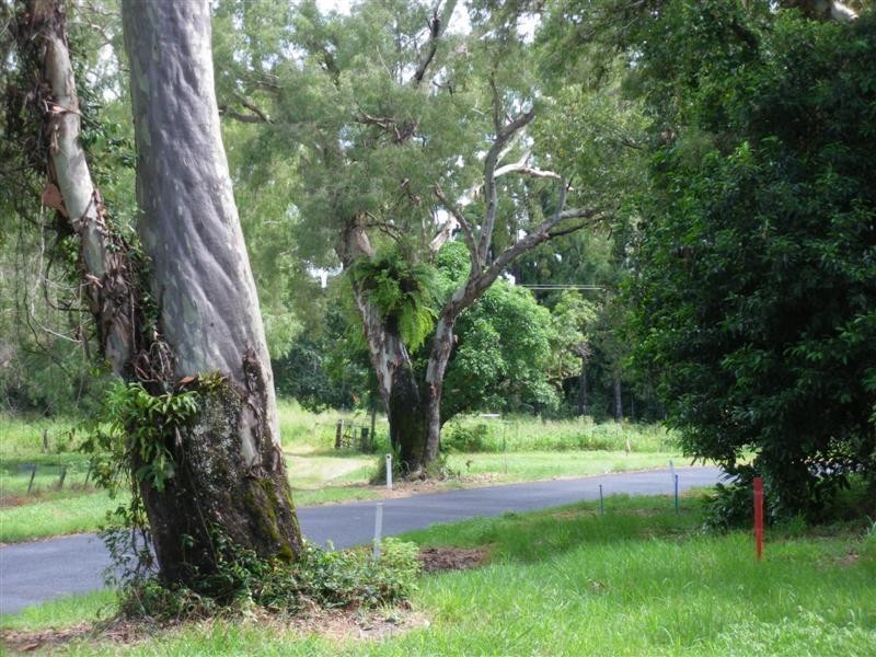 Wongaling Beach QLD 4852