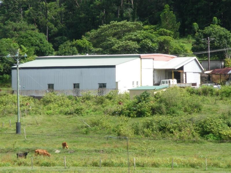 Wongaling Beach QLD 4852