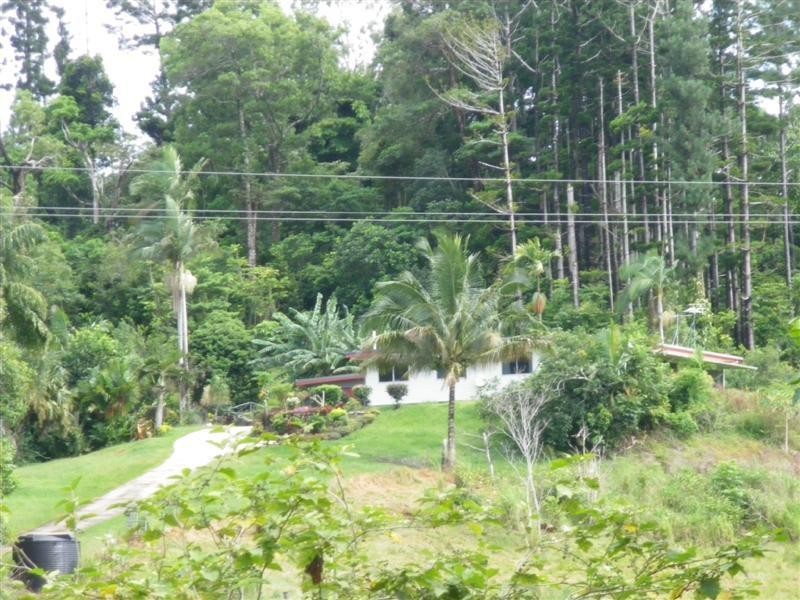 Wongaling Beach QLD 4852