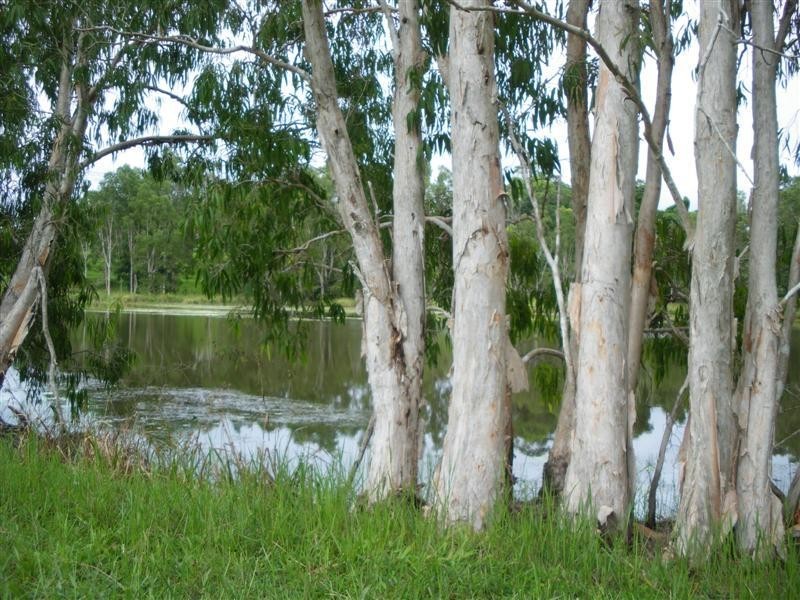 Wongaling Beach QLD 4852