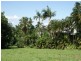43 CUTTEN Street, Bingil Bay QLD 4852