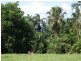 43 CUTTEN Street, Bingil Bay QLD 4852