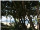 43 CUTTEN Street, Bingil Bay QLD 4852