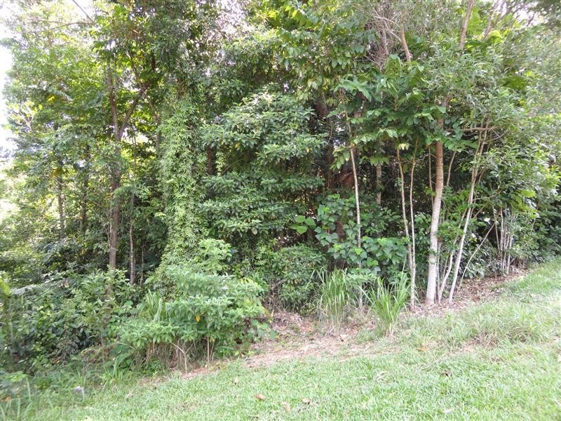 Mission Beach QLD 4852