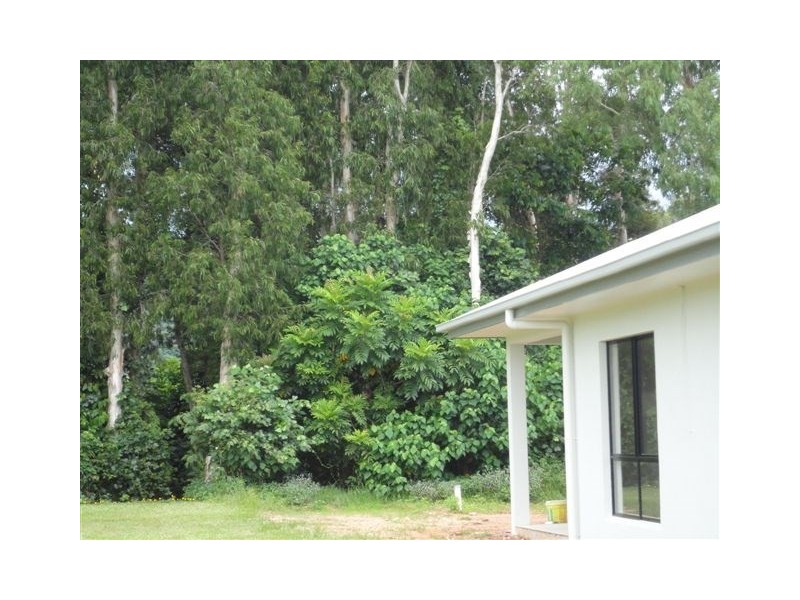 Wongaling Beach QLD 4852