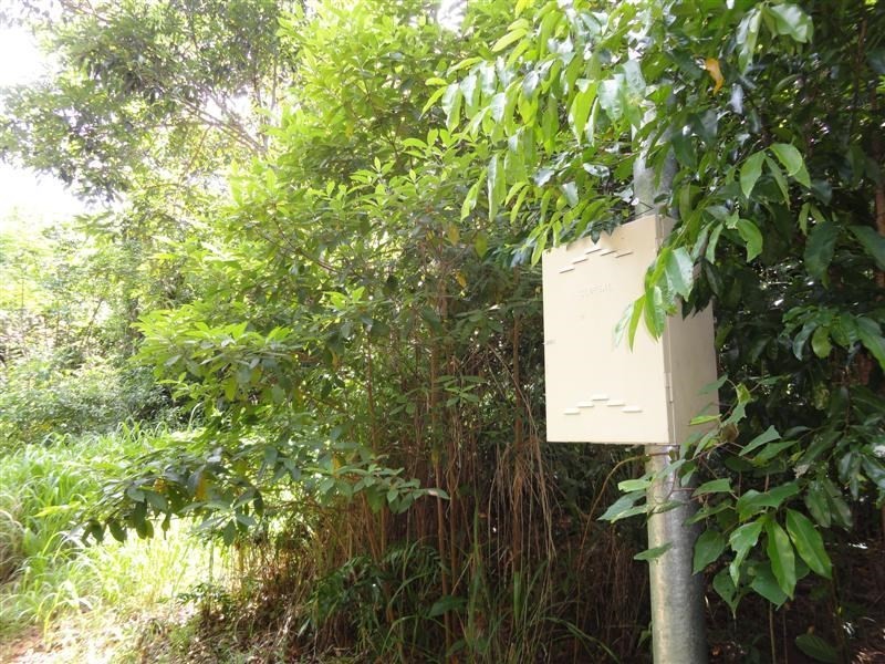 Bingil Bay QLD 4852