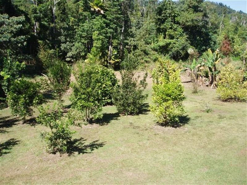 573 Elarish/Mission Beach Road, Mission Beach QLD 4852