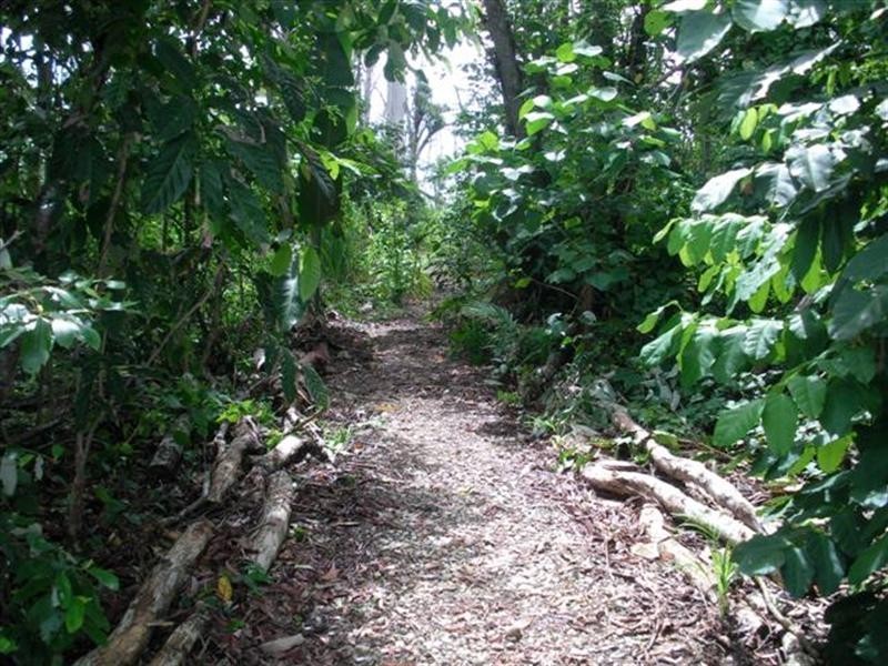 2/44 Koda Street, Wongaling Beach QLD 4852