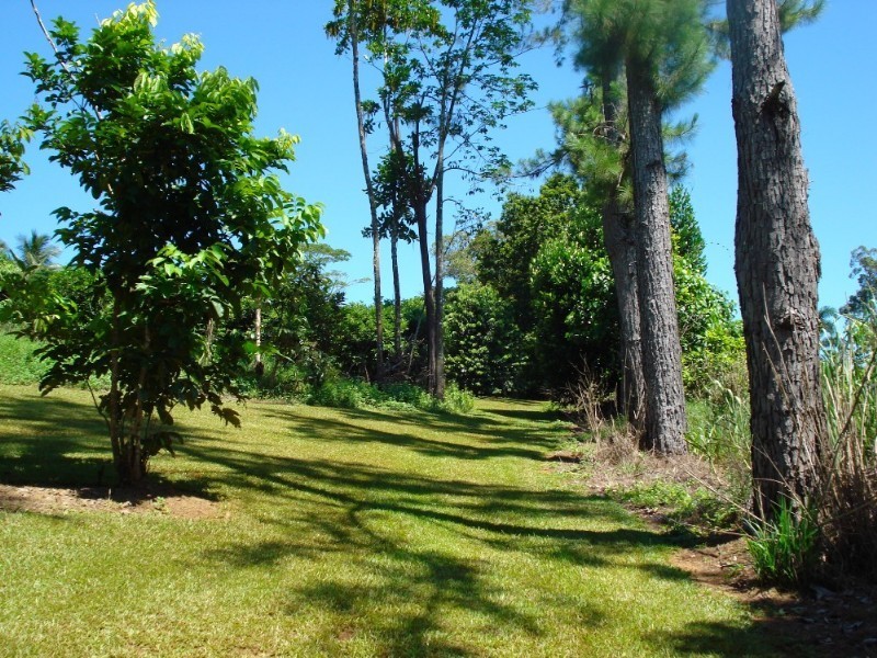 Mission Beach QLD 4852