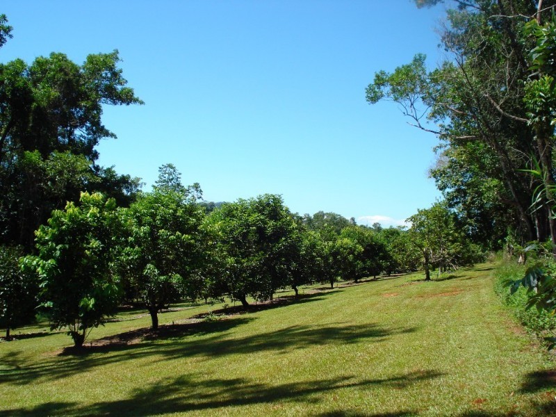 Mission Beach QLD 4852