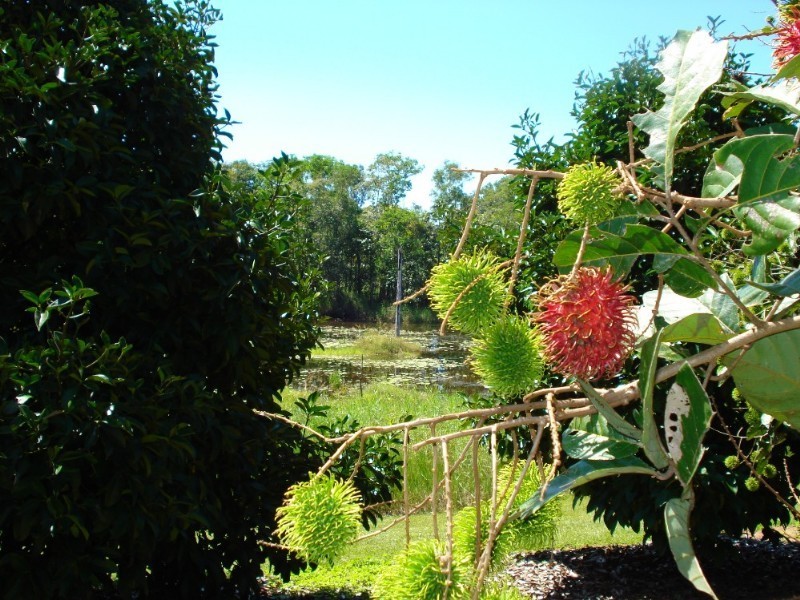 Mission Beach QLD 4852