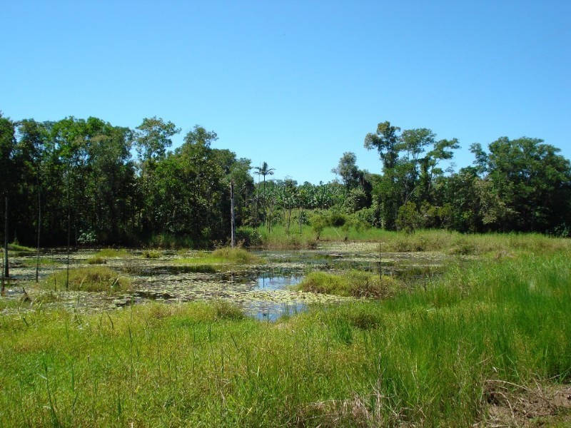 Mission Beach QLD 4852