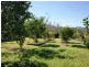 East Feluga QLD 4854
