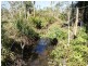 East Feluga QLD 4854
