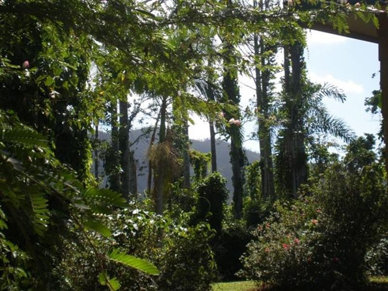 104 Boyett Road, Mission Beach QLD 4852