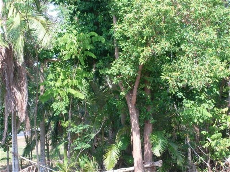 2 Commodore Street, Mission Beach QLD 4852