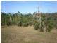 Lot 99 Jackey Jackey Street, Mission Beach QLD 4852