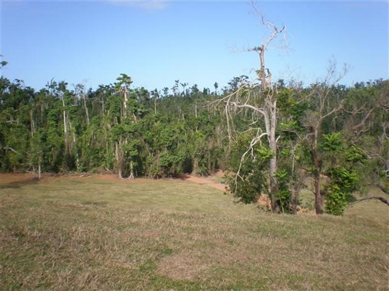 Lot 99 Jackey Jackey Street, Mission Beach QLD 4852