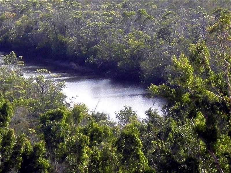 Lot 99 Jackey Jackey Street, Mission Beach QLD 4852