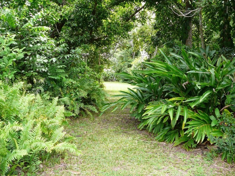 Mission Beach QLD 4852
