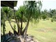 1349A Cassowary Drive, Mission Beach QLD 4852