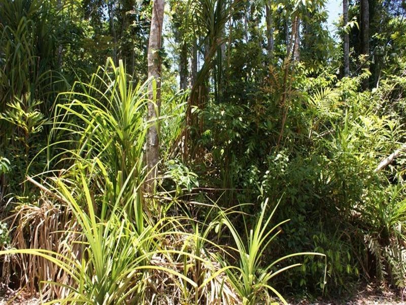 Mission Beach QLD 4852