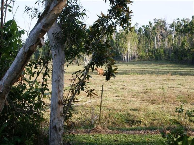 Wongaling Beach QLD 4852