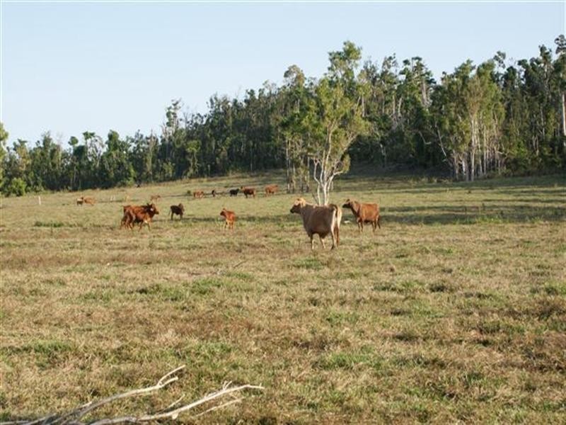 Wongaling Beach QLD 4852
