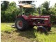 El Arish QLD 4855