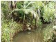 El Arish QLD 4855