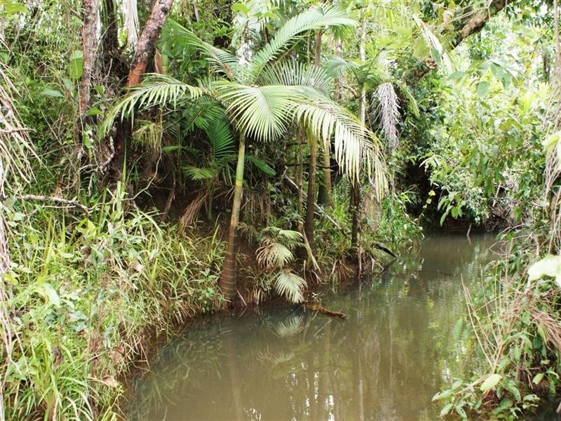 El Arish QLD 4855