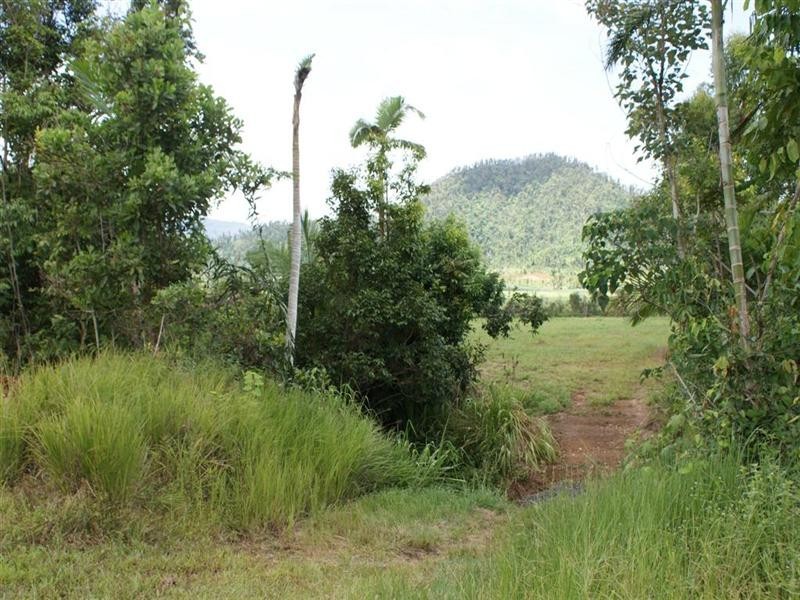 El Arish QLD 4855