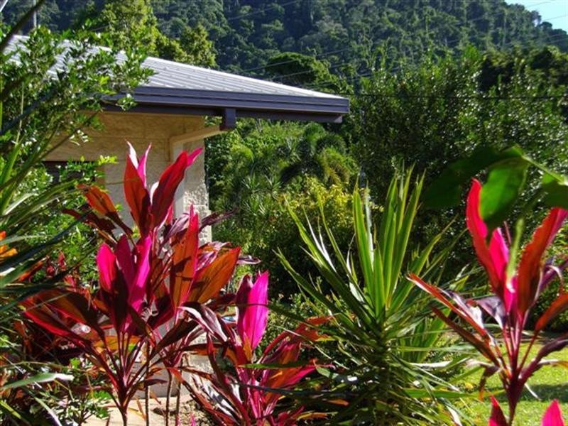 27 Pioneer Street, Bingil Bay QLD 4852