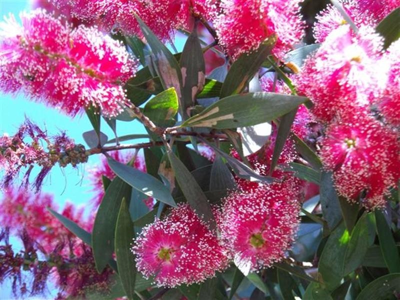 27 Pioneer Street, Bingil Bay QLD 4852